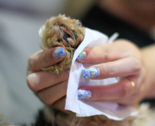 Cuidados de higiene devem ser estendidos a animais domésticos. Foto: Geraldo Bubniak/AEN