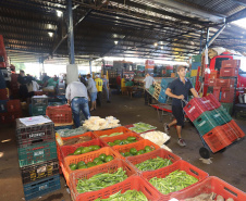 Apoio e planejamento do Estado garantem abastecimento de alimentos.Foto: Arnaldo Alves / AEN