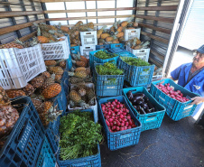 Apoio e planejamento do Estado garantem abastecimento de alimentos.Foto: Arnaldo Alves / AEN