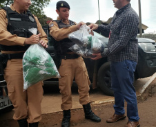 Presos já produziram 69 mil máscaras em menos de um mês. Foto: Depen