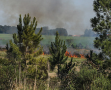  Foto: Geraldo Bubniak/ANPr