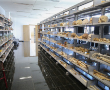Acervo do Museu de Ciências Forenses inclui peças incomuns.Foto: Geraldo Bubniak/AEN