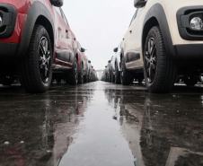 Porto de Paranaguá retoma exportação de automóveis