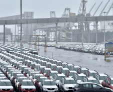 Porto de Paranaguá retoma exportação de automóveis
