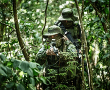 BPFron completa oito anos de atuação com mais de 66 toneladas de drogas apreendidas. Foto:SESP