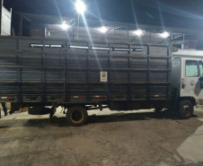 BPFron completa oito anos de atuação com mais de 66 toneladas de drogas apreendidas. Foto:SESP