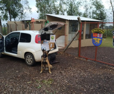 BPFron completa oito anos de atuação com mais de 66 toneladas de drogas apreendidas. Foto:SESP