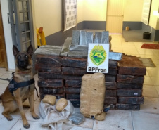 BPFron completa oito anos de atuação com mais de 66 toneladas de drogas apreendidas. Foto:SESP
