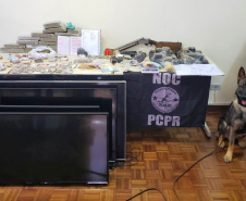 Cães da PCPR apreendem mais drogas em 2020 do que soma dos dois anos anteriores
Foto: PCPR