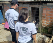 PCPR resgata cerca de 400 animais no primeiro semestre de 2020
. Foto:PCPR
