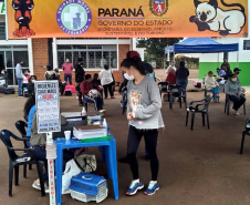 15 mil animais serão castrados até o fim do ano. Foto: SEDEST