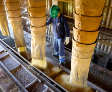Apesar da pandemia, volume de grãos por ferrovia aumentou 128% do Oeste para o Porto de Paranaguá