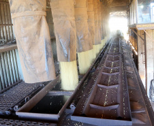 Apesar da pandemia, volume de grãos por ferrovia aumentou 128% do Oeste para o Porto de Paranaguá