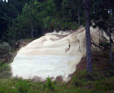 Pirambioa. Foto: Divulgação/IAT
