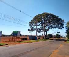 Parque Urbano de Terra Rica. Foto:SEDEST