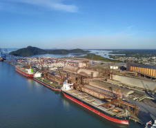 Porto de Paranaguá vai leiloar área de veículos
. Foto: José Fernando Ogura/AEN