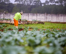 Mais de 29% dos presos trabalham no Paraná
-Foto: Gilson Abreu/AEN