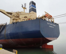 Um novo embarque recorde está sendo realizado no Corredor de Exportação do Porto de Paranaguá, nesta semana. No berço 214, o navio E.R Bayonne carrega 104,2 mil toneladas de farelo de soja. Este é o maior volume de granel de exportação já movimentado pelo porto.
Foto: Claudio Neves