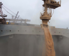 Um novo embarque recorde está sendo realizado no Corredor de Exportação do Porto de Paranaguá, nesta semana. No berço 214, o navio E.R Bayonne carrega 104,2 mil toneladas de farelo de soja. Este é o maior volume de granel de exportação já movimentado pelo porto.
Foto: Claudio Neves