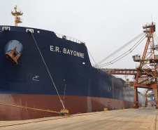 Um novo embarque recorde está sendo realizado no Corredor de Exportação do Porto de Paranaguá, nesta semana. No berço 214, o navio E.R Bayonne carrega 104,2 mil toneladas de farelo de soja. Este é o maior volume de granel de exportação já movimentado pelo porto.
Foto: Claudio Neves