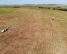 Obra de usina solar da Copel em Bandeirantes segue durante quarentena 
.Foto:Copel
