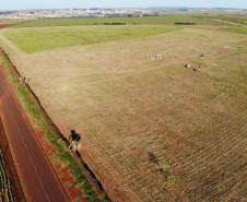 Obra de usina solar da Copel em Bandeirantes segue durante quarentena 
.Foto:Copel