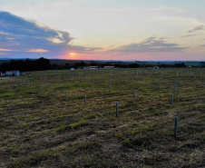 Obra de usina solar da Copel em Bandeirantes segue durante quarentena 
.Foto:Copel