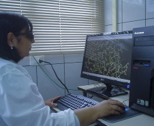 Uma pesquisa da Universidade Estadual de Maringá (UEM) está analisando se produtos naturais podem ser usados no combate ao coronavírus. Conduzida pelo professor doutor Flavio Seixas, a pesquisa busca identificar substâncias que bloqueiem as enzimas responsáveis pela multiplicação do vírus.
Foto:UEM