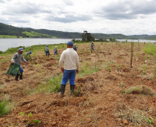 Paraná é premiado por projeto de recuperação de áreas degradadas. Foto:Copel