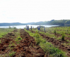 Paraná é premiado por projeto de recuperação de áreas degradadas. Foto:Copel