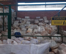 Foto: inpEV unidade de Guarapuava
