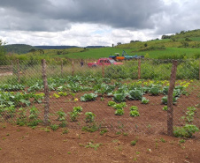 Apoio a famílias rurais é destacado no Dia do Agricultor
.Foto:SEJUF