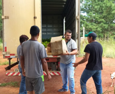 Apoio a famílias rurais é destacado no Dia do Agricultor
.Foto:SEJUF