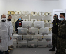 Sesa vai reativar a produção de soro contra picadas de cobras
. Foto:SESA
