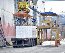 O Porto de Paranaguá faz nesta semana uma operação diferente. O navio Penguin Arrow, atracado no berço 215, opera, simultaneamente, dois tipos de cargas diferentes. Ao mesmo tempo que descarrega malte, é embarcada 45.758 toneladas de celulose – a segunda maior quantidade do produto movimentada no porto paranaense.
