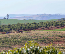 Governo renova artérias de escoamento da safra em Ivaiporã. Foto: Gilson Abreu/AEN