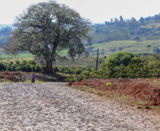 Governo renova artérias de escoamento da safra em Ivaiporã. Foto: Gilson Abreu/AEN