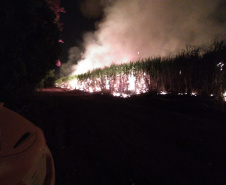 Paraná suspende por 30 dias queimada de cana-de-açúcar. Foto:SEDEST