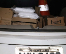 Mais de 134 mil EPIs são repassados a  Guardas Municipais do Paraná. Foto:SESP