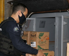 Mais de 134 mil EPIs são repassados a  Guardas Municipais do Paraná. Foto:SESP