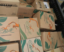 Mais de 134 mil EPIs são repassados a  Guardas Municipais do Paraná. Foto:SESP