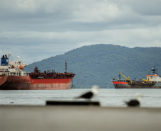 Porto de Paranaguá atinge marca de 99,29% em avaliação ambiental
