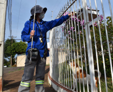 Copel alerta sobre cuidados com cães. Foto: Copel
