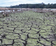 Chuvas não diminuem os  efeitos da estiagem severa
.Iraí. 08/2020.