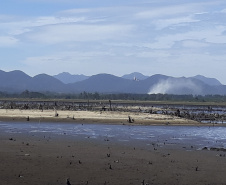 Incêndio em área de manancial tem prioridade dos bombeiros. Foto: Sanepar