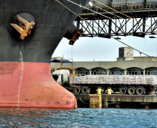 Faltando quatro meses para o fim de 2020, os Portos do Paraná já movimentaram o equivalente a 73% do total de cargas transportadas no ano passado inteiro. De janeiro a agosto, 38,67 milhões de toneladas de produtos passaram pelos portos de Paranaguá e Antonina. Em 2019, em 12 meses, foram 53.203.775 toneladas. 