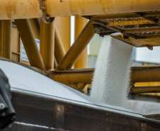 Faltando quatro meses para o fim de 2020, os Portos do Paraná já movimentaram o equivalente a 73% do total de cargas transportadas no ano passado inteiro. De janeiro a agosto, 38,67 milhões de toneladas de produtos passaram pelos portos de Paranaguá e Antonina. Em 2019, em 12 meses, foram 53.203.775 toneladas. 