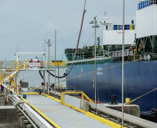 Faltando quatro meses para o fim de 2020, os Portos do Paraná já movimentaram o equivalente a 73% do total de cargas transportadas no ano passado inteiro. De janeiro a agosto, 38,67 milhões de toneladas de produtos passaram pelos portos de Paranaguá e Antonina. Em 2019, em 12 meses, foram 53.203.775 toneladas. 