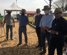 A Secretaria de Estado da Agricultura e do Abastecimento oficializou nesta quinta-feira (10) a adesão do município de Cascavel ao Sistema Unificado Estadual de Sanidade Agroindustrial Familiar, Artesanal e de Pequeno Porte do Paraná (Susaf-PR). . Foto:SEAB