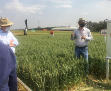 A Secretaria de Estado da Agricultura e do Abastecimento oficializou nesta quinta-feira (10) a adesão do município de Cascavel ao Sistema Unificado Estadual de Sanidade Agroindustrial Familiar, Artesanal e de Pequeno Porte do Paraná (Susaf-PR). . Foto:SEAB